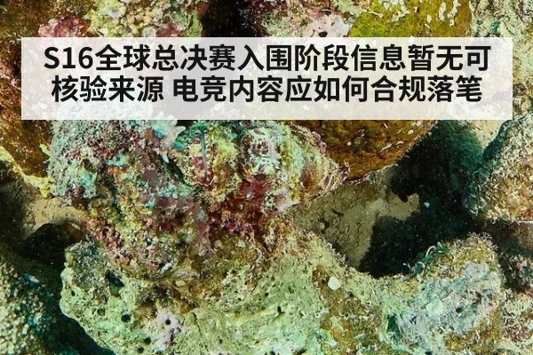 S16全球总决赛入围阶段信息暂无可核验来源 电竞内容应如何合规落笔
